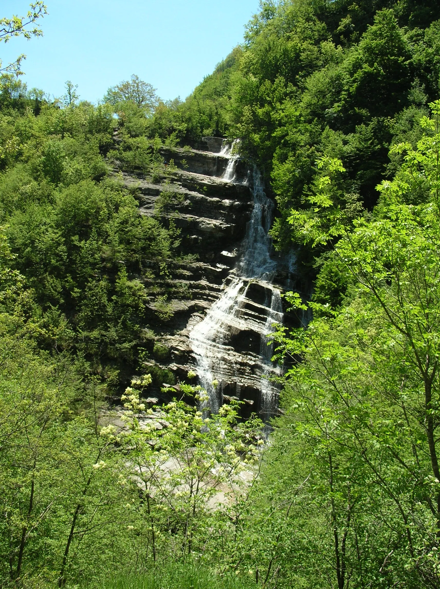 La cascata dell'Acquacheta vista intera, con l'acqua che scende sui gradoni di roccia tra il bosco