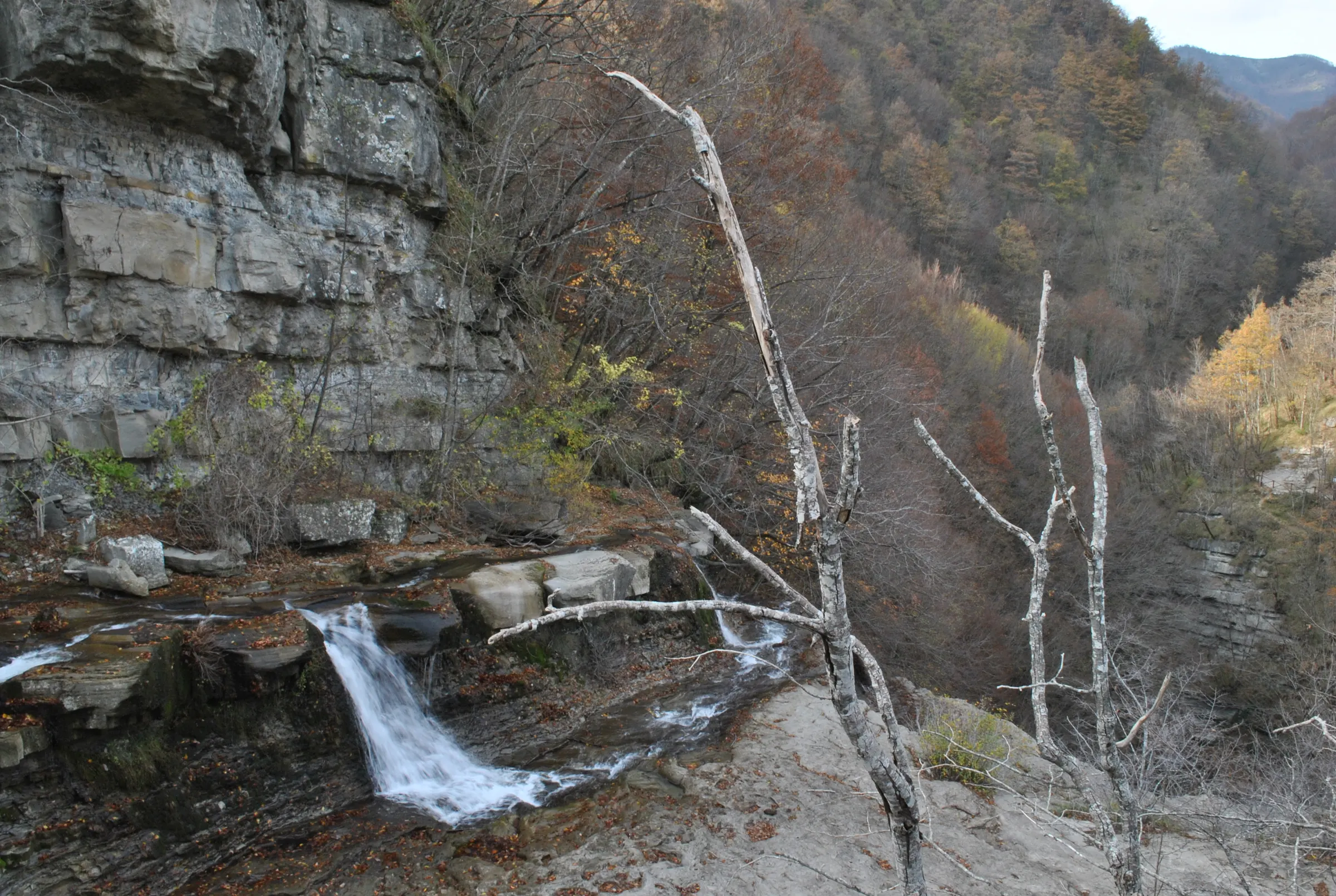 In cima alla cascata dell'Acquacheta, con la parete di roccia e il bosco d'autunno
