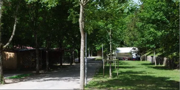 Il viale del campeggio con le piazzole all'ombra degli alberi