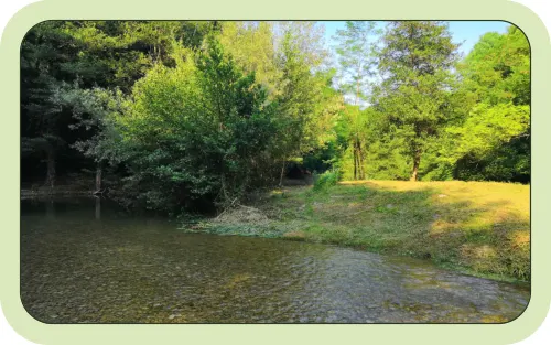 Il torrente vicino al campeggio, con l'acqua bassa e il bosco sulle rive