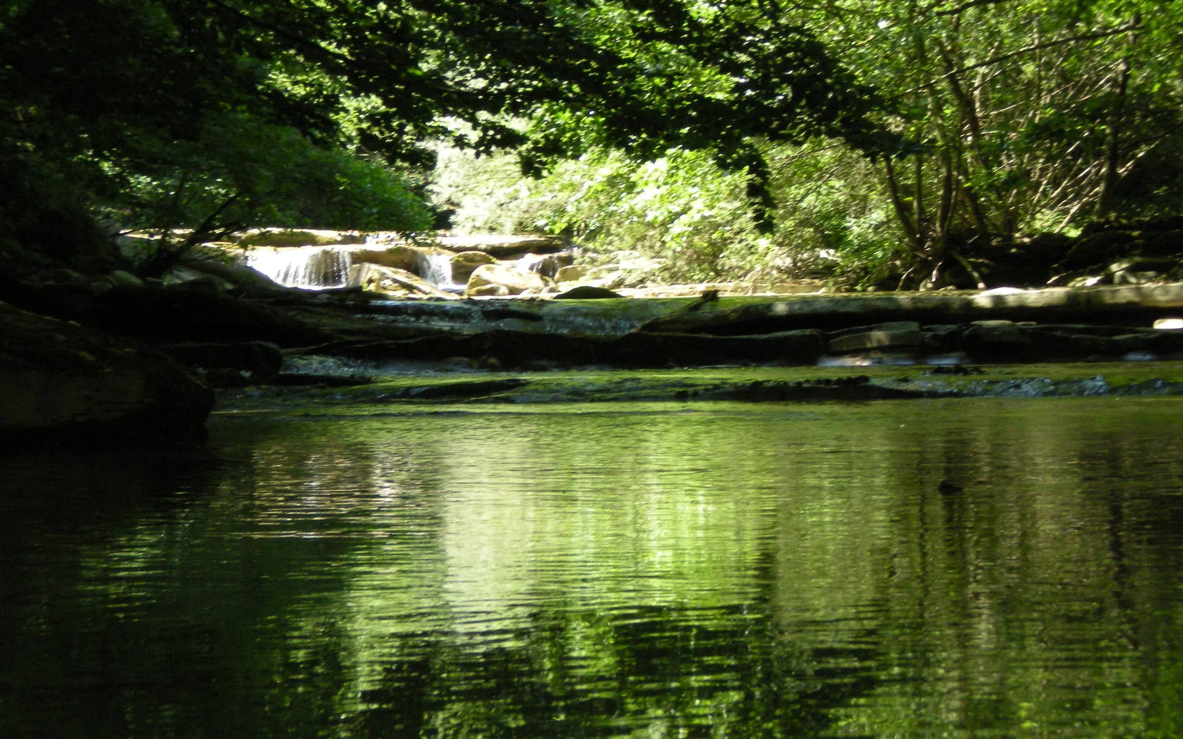 Una pozza verde del torrente Acquacheta sotto gli alberi, con un piccolo salto d'acqua sullo sfondo