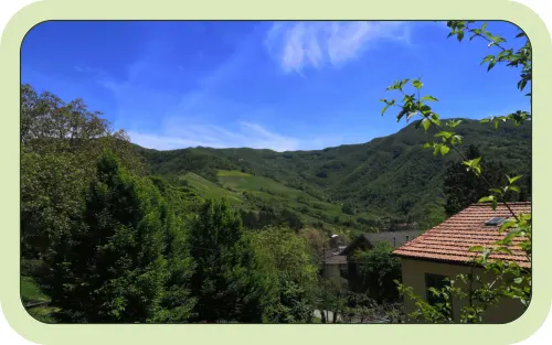 La valle vista dal campeggio, con le montagne coperte di bosco